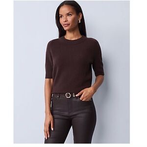 Ann Taylor Cashmere Sweater Tee